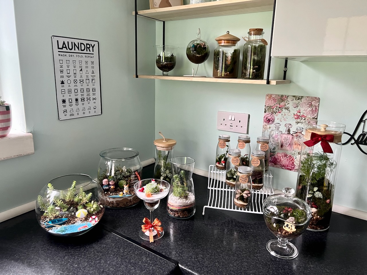 Terrarium Care Guide 🌱