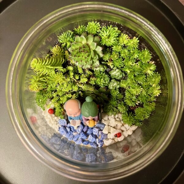 Grandma's Garden - Image 4