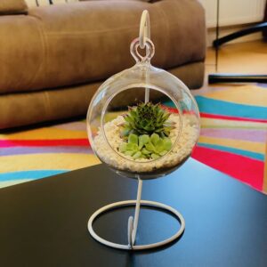 Suspended Serenity