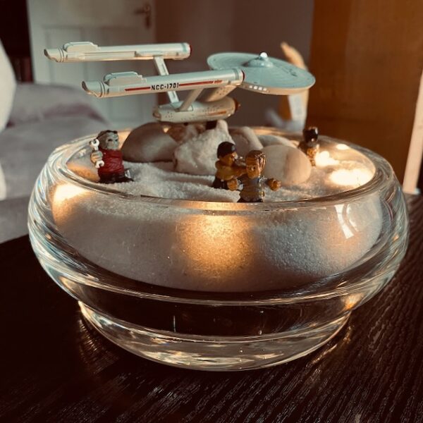 Star Trek Terrarium - Away Mission in a Bowl - Image 3