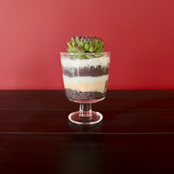Creamy Dessert - Image 3