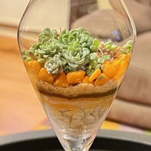 Tequila Sunset Cocktail