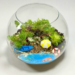 Succulent Seaside Escape 🌊🧜‍♀️⛱️