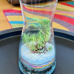 Rainbow Rhapsody Hourglass 🌈✨