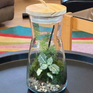 Forest Whisper🌳🤫