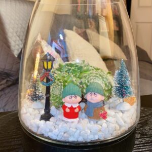 The Cosy Couple's Winter Garden ❄️💑✨🌿