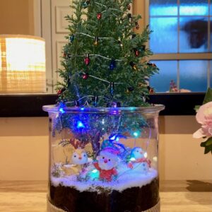 The Christmas Cheer 🎄✨