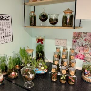 🌿✨ Your Very Own Bespoke Terrarium